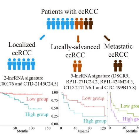 Two Types Of Lncrna Signatures For Dfs Prognosis Of Ccrcc Patients