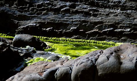 Free Images Beach Landscape Sea Coast Tree Water Nature Grass