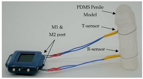 Sensors Free Full Text Wearable Soft Microtube Sensors For Quantitative Home Based Erectile