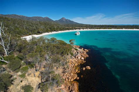 Wineglass Bay Cruises DSC2370 Bill Peach Journeys