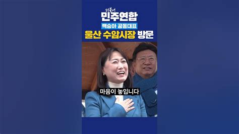 더불어민주연합 백승아 공동대표 몰빵으로 심판하자 Youtube