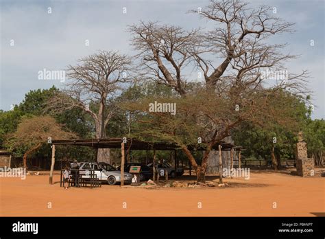 The car park outside Bandia wildlife reserve, Senegal, West Africa Stock Photo - Alamy