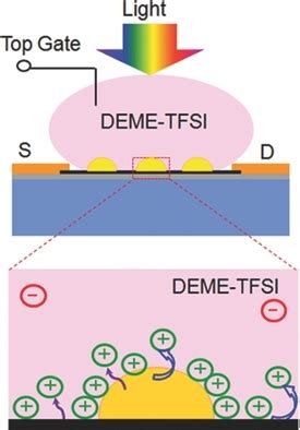 Photodetection Based On Ionic Liquid Gated Plasmonic Ag Nanoparticle