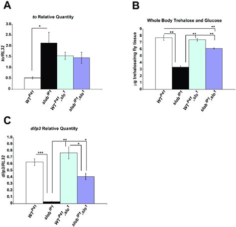 The effects of SLOB on gene expression and metabolism require SLO. A ...