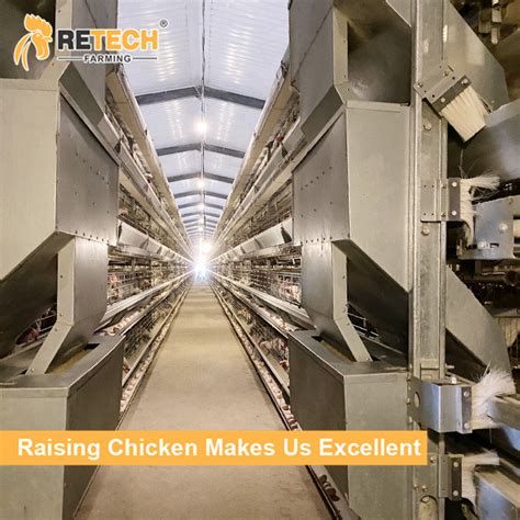 Poultry Farm Automatic Galvanized Layer Chicken Cage For Broilers And