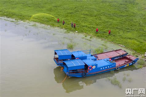 江西湖口鄱阳湖畔灭钉螺图凤凰网江西 凤凰网