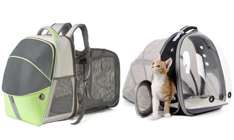 Cat Backpack Carriers: Your Complete Guide To Cat Travel - Meowa.com