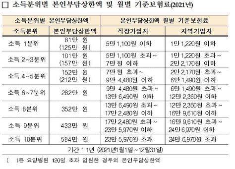 본인부담 초과 의료비 돌려준다 시사 앤 뉴스