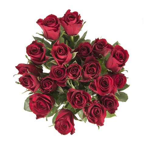 Bulk Roses 50 cm 20 Stems | Woolworths.co.za