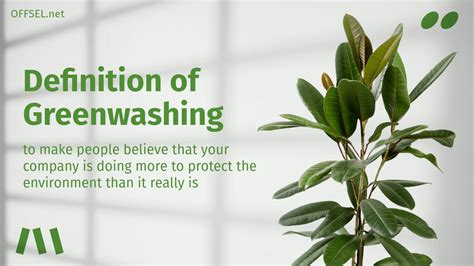 What Is Greenwashing Definition Cases And How To Spot Echoshpher