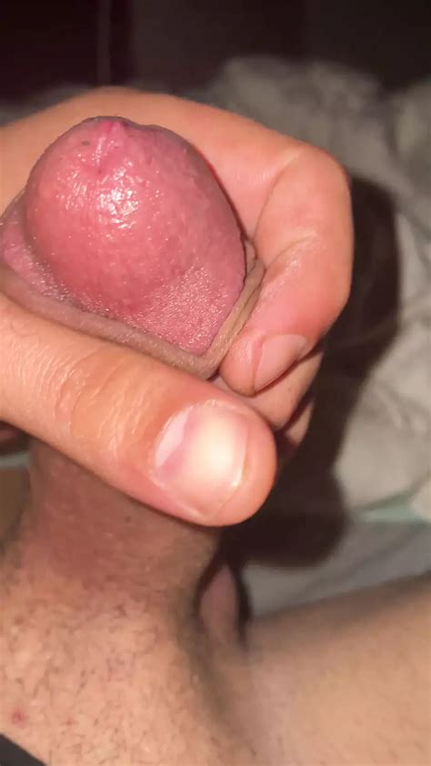 My Hot Dick XHamster