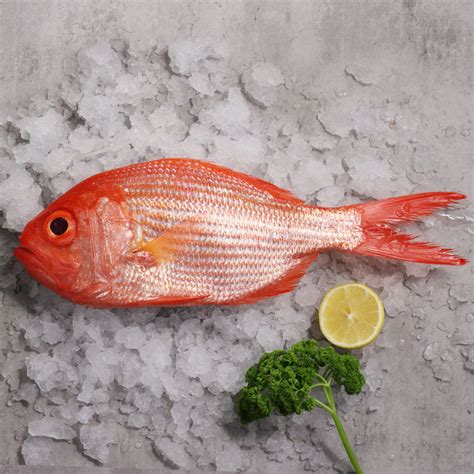 Fresh Red Snapper Whole Cleaned Same Day Deliveryfishme — Fishme