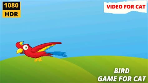 CAT GAMES CATCH A BIRD CATS TV FLYING BIRD GAMES FOR CATS