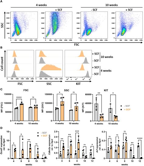 Frontiers Transformation Of Primary Murine Peritoneal Mast Cells By