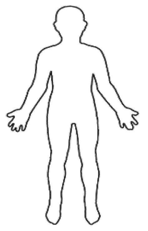 The Human Body Clipart Clipground