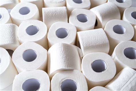 Quel Type De Papier Toilette Choisir Pour Votre Entreprise Neozone