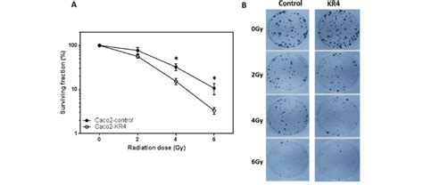 A Clonogenic Cell Survival Assay After C Irradiation A Single Cell