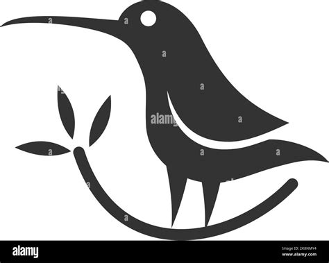 Hummingbird Bird Logo Icon Abstract Vector Illustration Brand Identity