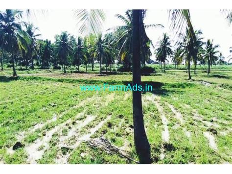 Acres Coconut Farm Land For Sale At Channapatna Channapatna