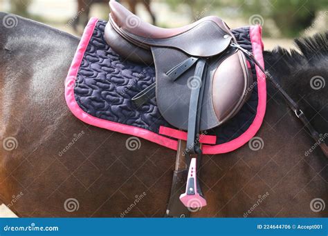 On The Back Of The Horse A Brown Leather Saddle Stock Photo Image Of