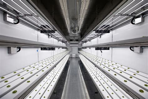Cnn Indoor Farming Is The Future Of Agriculture” Shipping