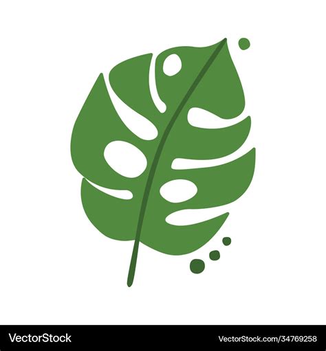 Green Monstera Leaf With Dots Royalty Free Vector Image