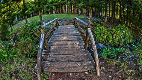 Wallpaper Landscape Forest Nature Grass Park Wood Green Bridge