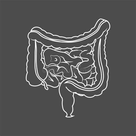 Stomach And Intestines Doodle Hand Drawn Vector Illustration Of Human