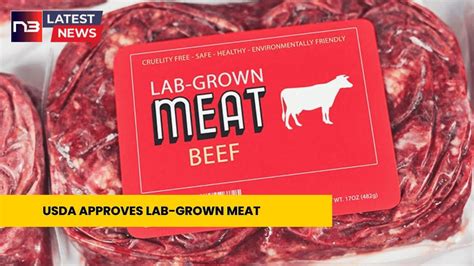 Usda Shocks The World Futuristic Lab Grown Meat Now Fully Authorized