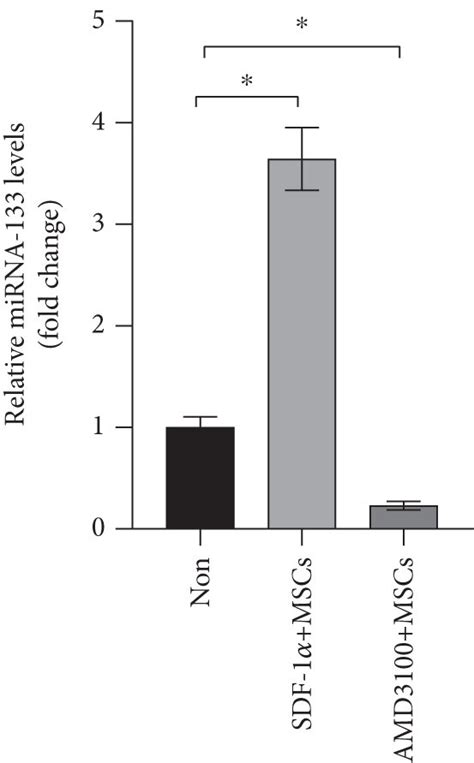 Sdf 1α Regulates The Survival Of Mscs On B Cells Through Mir 133 A Download Scientific