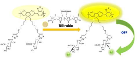 A Mini Review On Conjugated Polymer Based Fluorescence Probes For