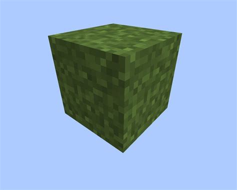 Minecraft Tall Grass Texture