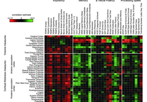 Heat Map Of Brain Behaviour Associations Correlation Coefficient