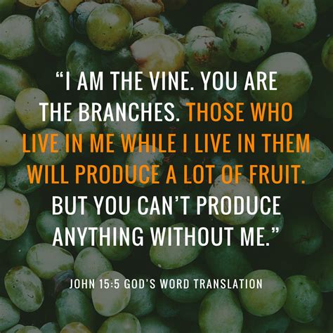 Compare John 155 I Am The Vine You Are The Branches Gods Word