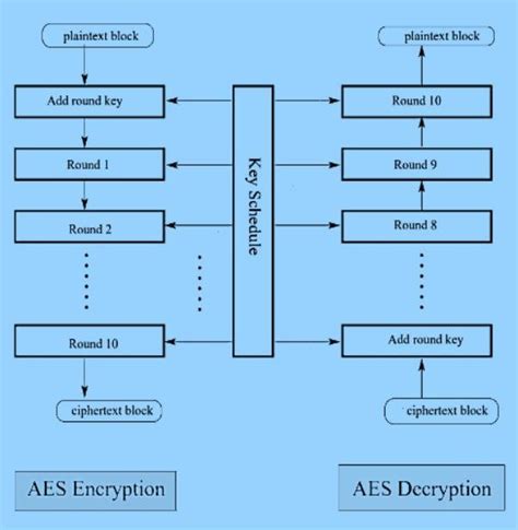 Aes Encryption And Decryption Download Scientific Diagram