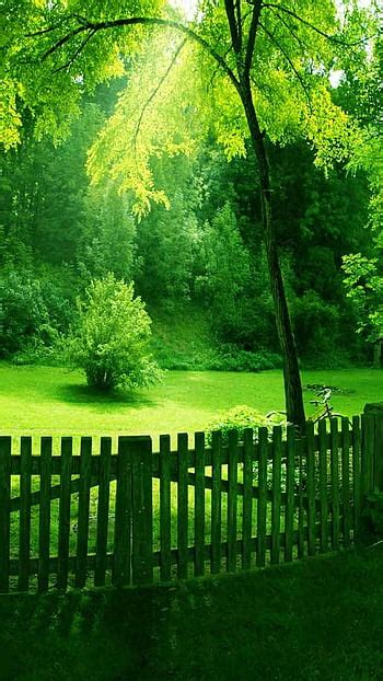 Green Nature Wallpaper For Mobile Phone Infoupdate Org