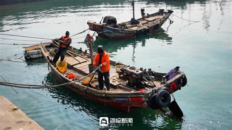 一大波日照本地海鲜上市！价格怎么样？大众网