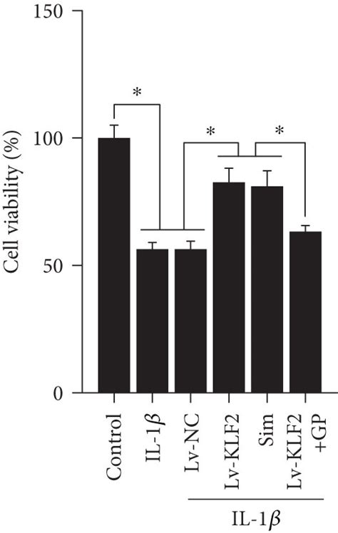 Klf2 Overexpression Inhibits Il 1β Induced Apoptosis And Chondrocyte