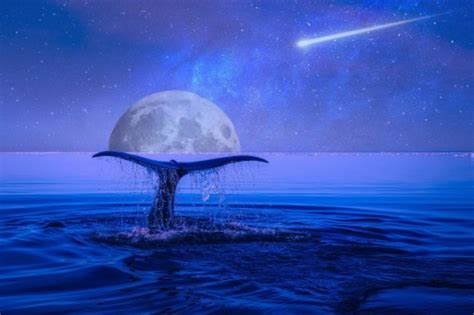 Sea Tree Sorrow Sky Clouds Stars Moon Ocean Live Wallpaper Night Sky