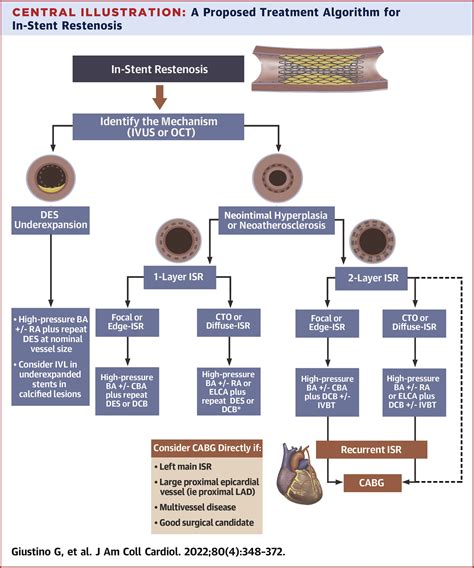 Coronary In Stent Restenosis Jacc State Of The Art Review Journal Of