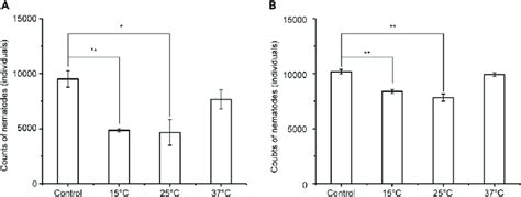 Effects Of Serratia Marcescens Cultured At Different Temperatures On