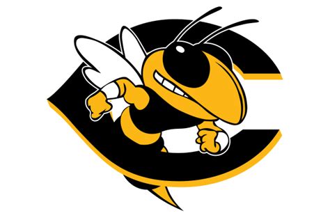 Coolidge Yellowjackets Texas Hs Logo Project