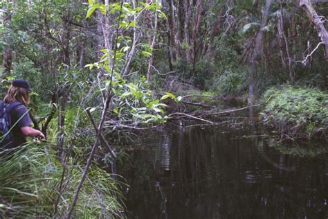 DESTINATION: Mary River, Queensland - Fishing World