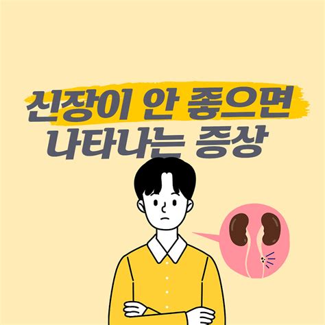 신장이 안 좋으면 나타나는 증상과 신장에 도움이 되는 식품 행복한 꾸준한 이야기