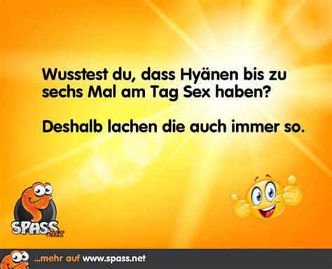 Immer Gut Drauf Lustige Bilder Auf Spass Net