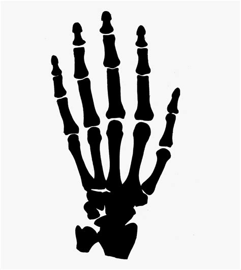 Skeleton Hand Png 10 Free Cliparts Download Images On Clipground 2024