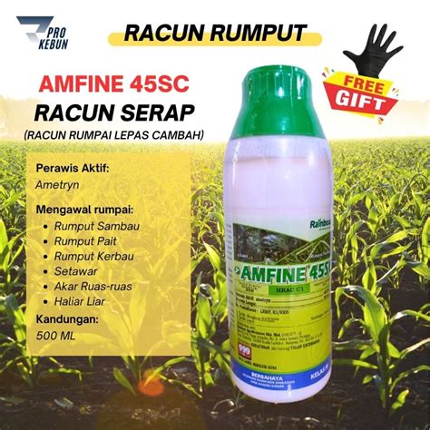 Amfine 45SC Racun Ametryn Racun Rumput Sambau Racun Rumput Setawar Akar