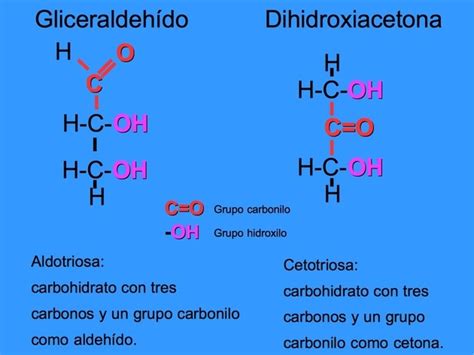 Carbohidratos Qu Son Estructura Y Tipos Toda Materia