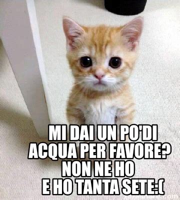 Meme Creator Funny Mi Dai Un Po Di Acqua Per Favore Non Ne Ho E Ho