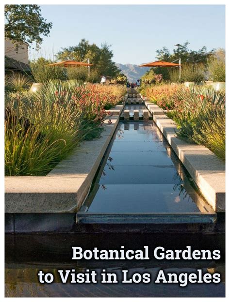 Botanical Gardens Los Angeles Open - Beautiful Insanity